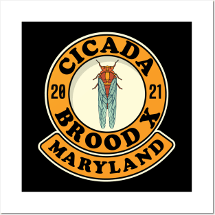 Cicada 2021 Brood X Maryland MD Posters and Art